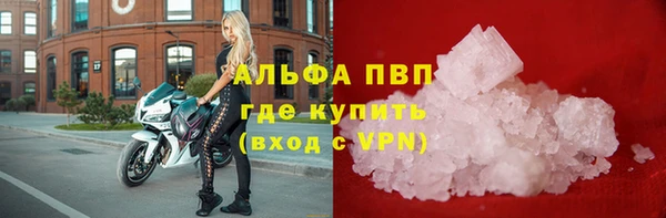 трава Беломорск