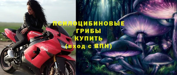 трава Беломорск
