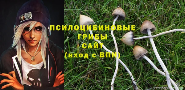 винт Богородицк