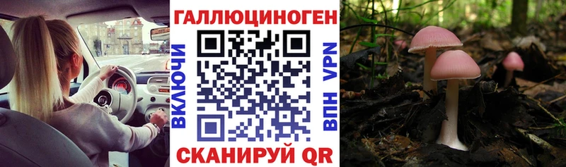 Псилоцибиновые грибы MAGIC MUSHROOMS Вязники